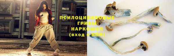 амф Богданович