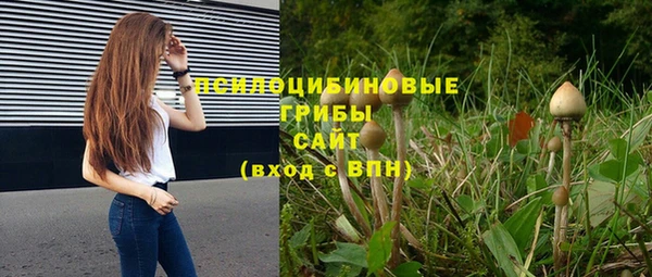 винт Богородицк