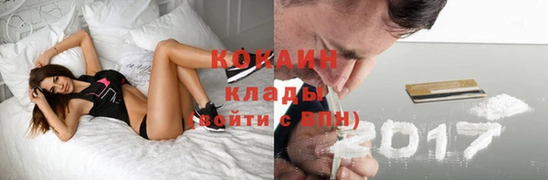 амф Богданович