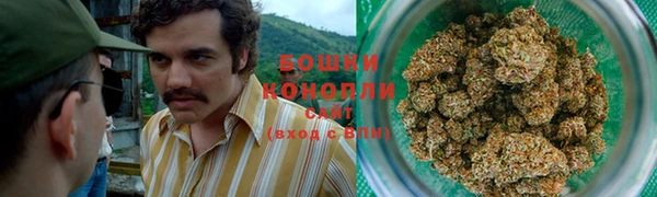 амф Богданович