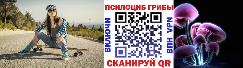 Купить закладки  Фролово  Псилоцибиновые грибы Psilocybe 